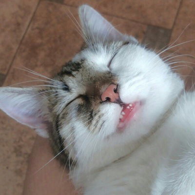 Данил Суропатов