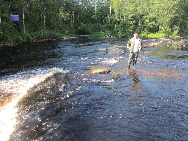 Андрей Шарапов