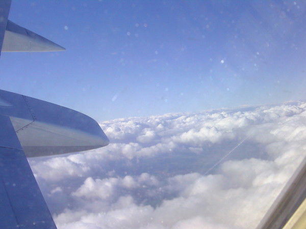 Анна Баркарь