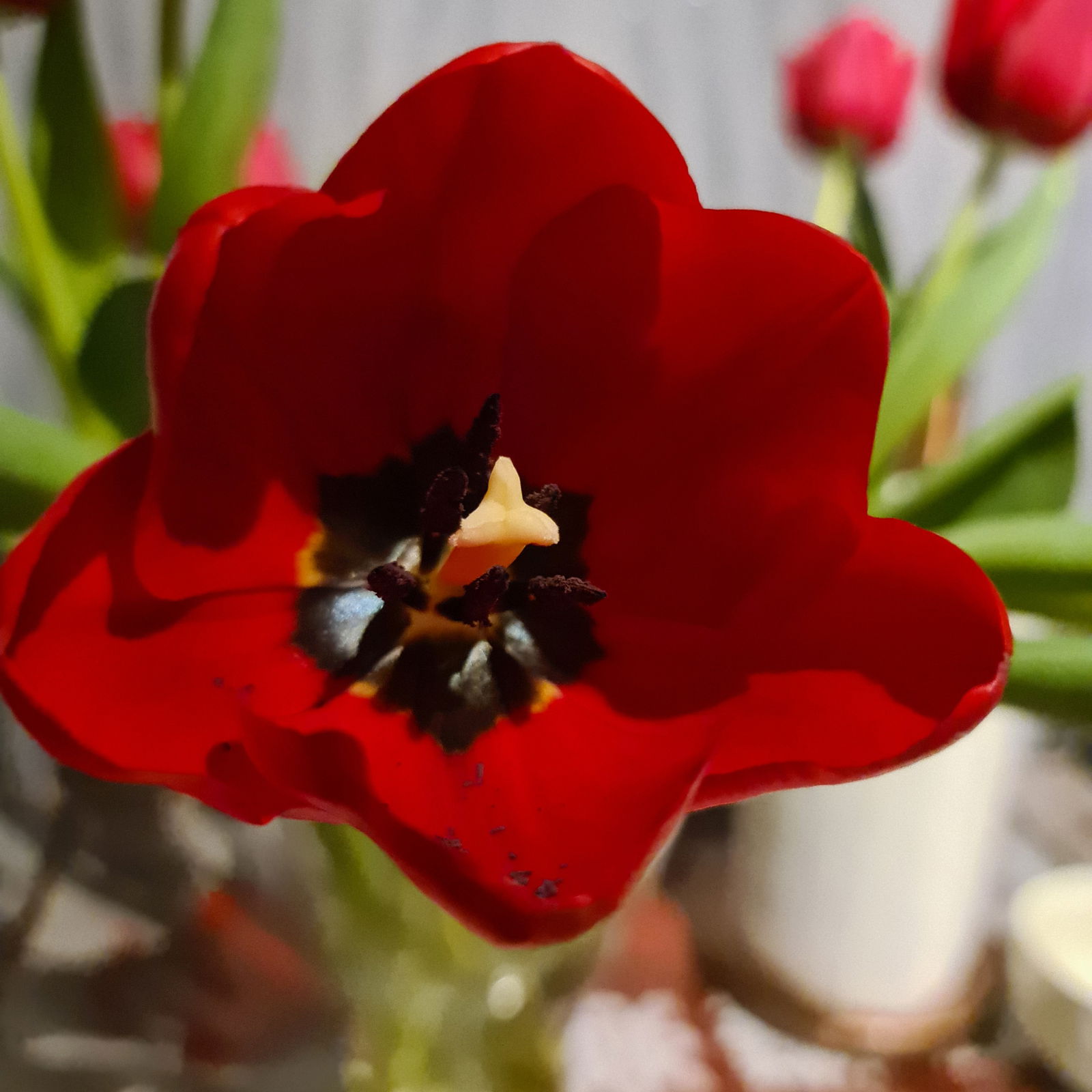 Умм Абдурахман