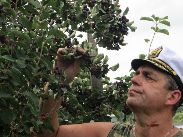 Шофман Александр