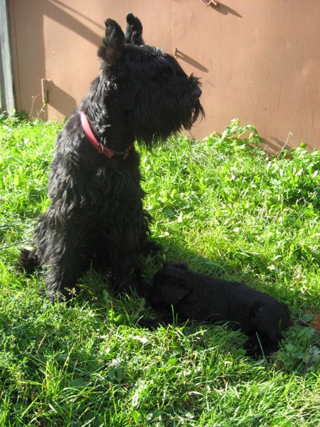 Татьяна Сироткина