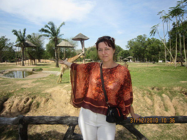 Елена Каримова