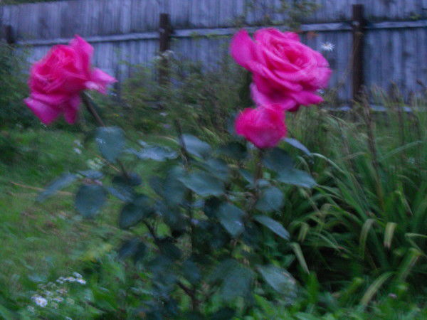 Таня Неизвестная