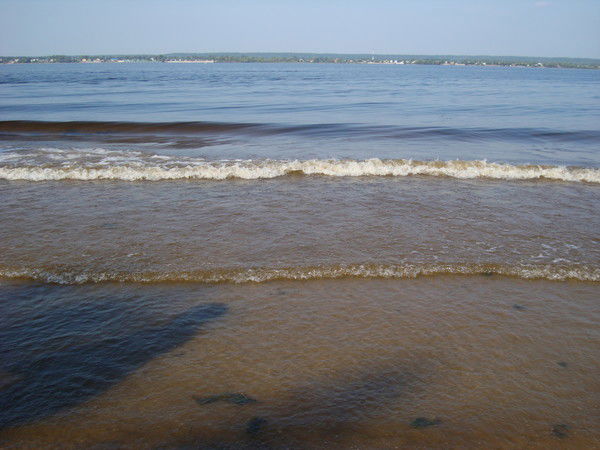 Горводзеленхоз Казань