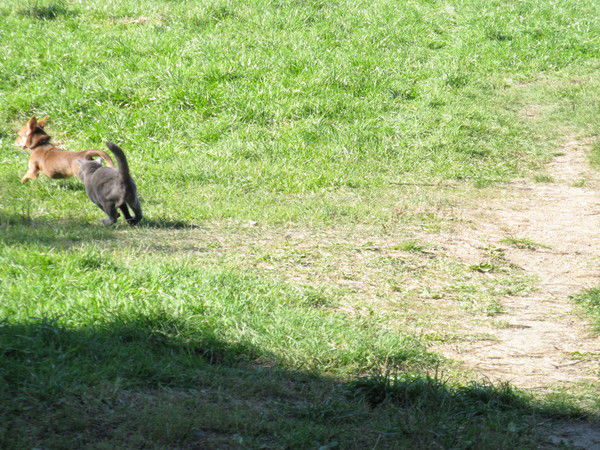 Мария Кустова