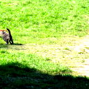 Мария Кустова