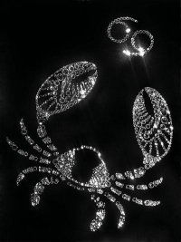 Автодом Александрия