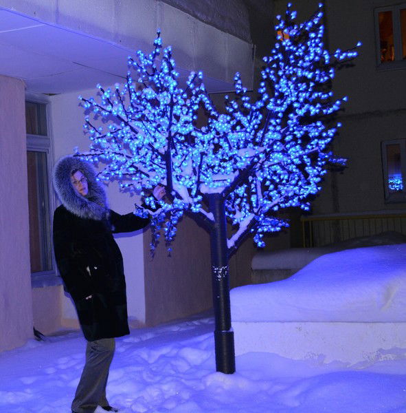 Наталия Стоян