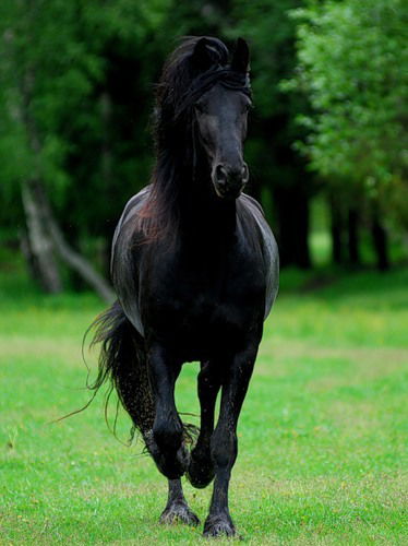 Михаил Сингатуллин