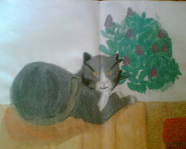 Светлана ****