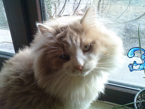 Денис Баранник