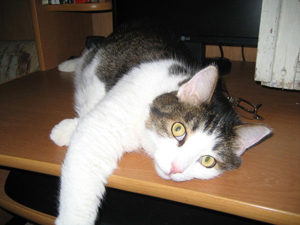 Виктор Вакаев