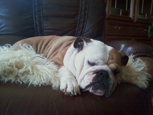 Стелла Сидоренко