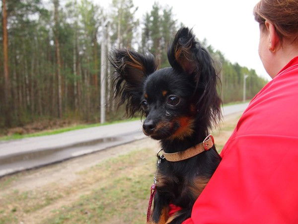 Юлия Хабарова