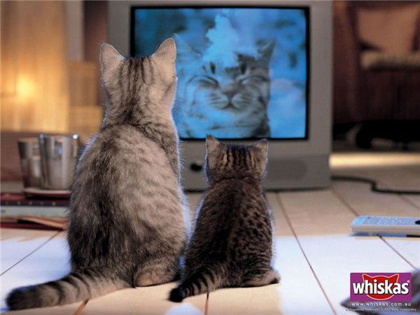 Елена Ивановна