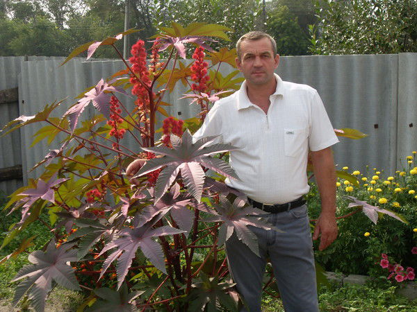 Федор Ступка