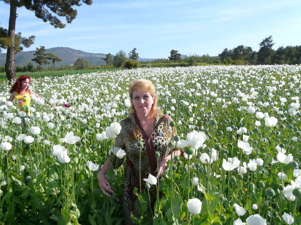 Маргарита Ермошенко