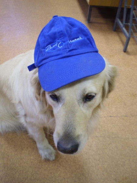 Гарри Гаррисон