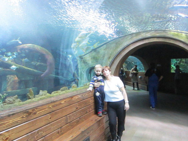 Светлана Мишина