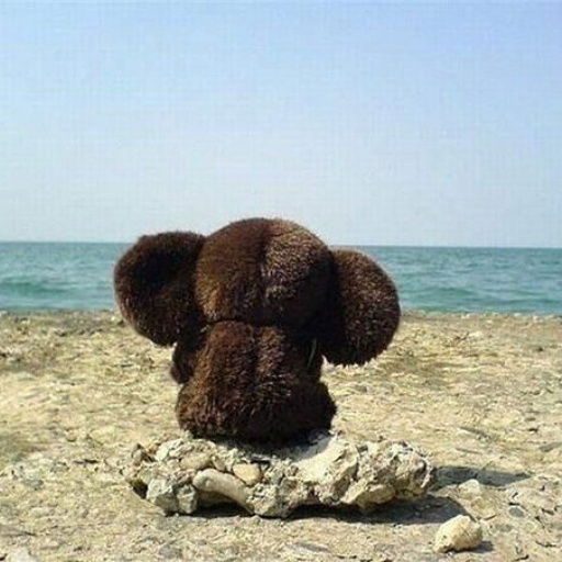 Aктоты Досхожаева