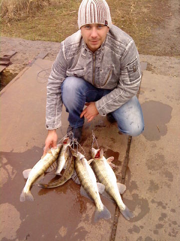 Иван Соловян