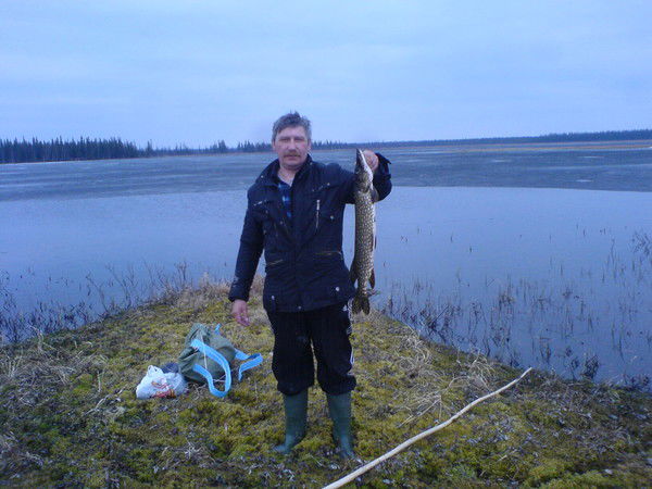 Павел Котляков