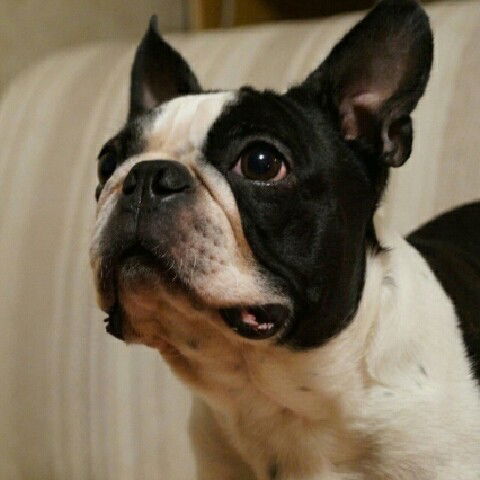 Наталья Кидяева