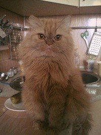 Жанна Соловьева