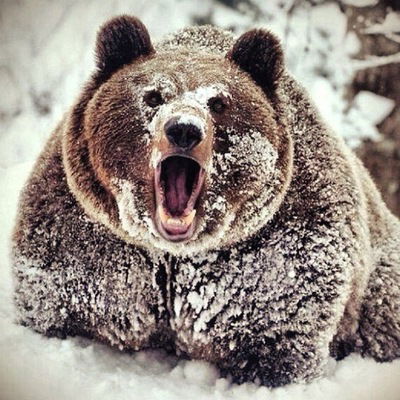 Филипп Просеков