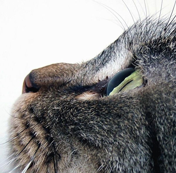 Татьяна Бобрышева