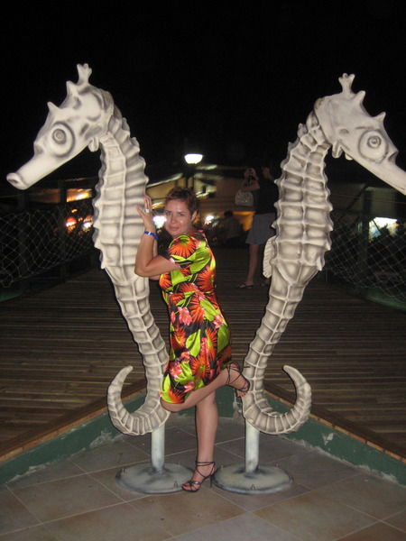 Неизвестно Неизвестно