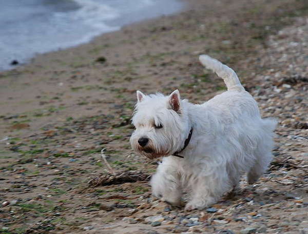 Мария Пузанова