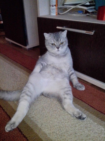 Наталья Камфарова