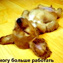Андрей Петрович