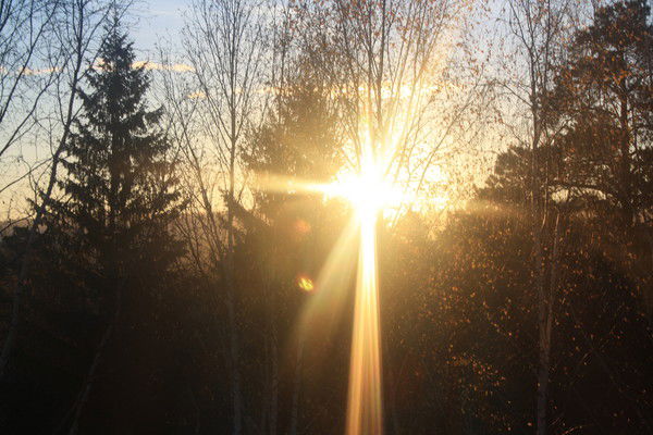 Ксения Чертанова