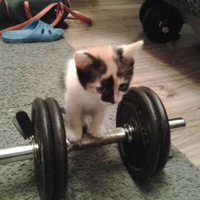 Дмитрий Юлмасов