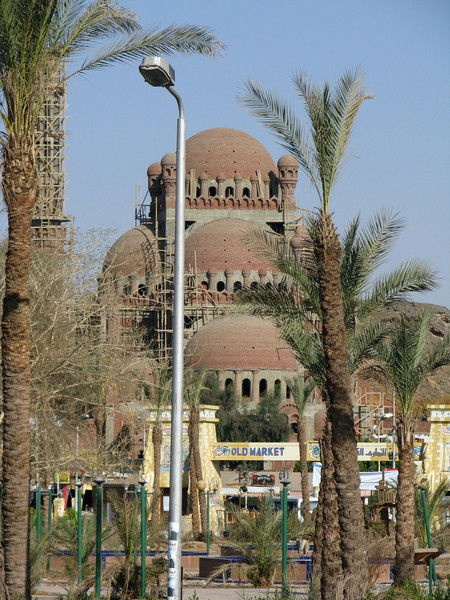 Арина Козлова