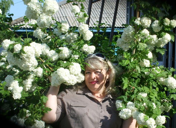 Елена Герасимова