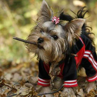 Валерия Стефняк