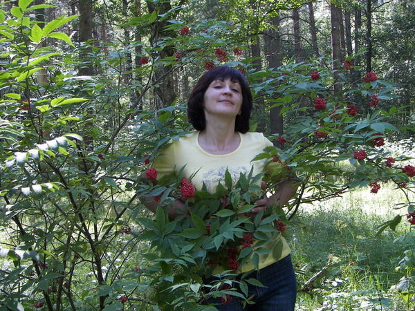 Елена Диброва