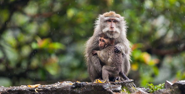 Gala Filosof Хххх