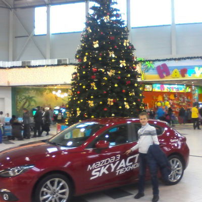 Данил Стегэреску