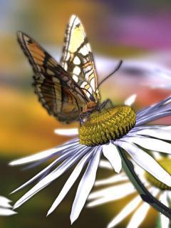 Алла Пашуткина