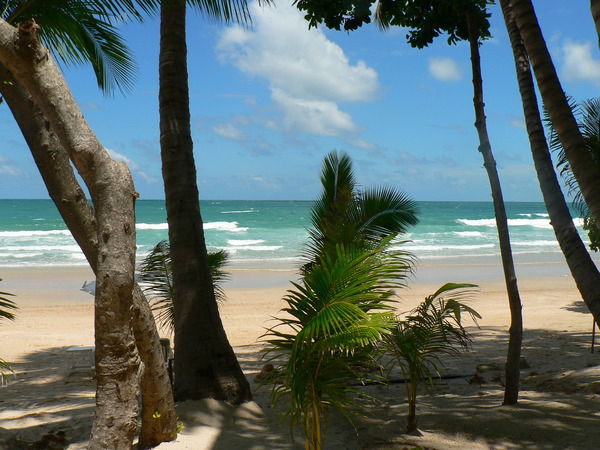 Варвара Прошкина