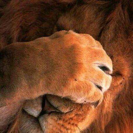 Миша Мельник