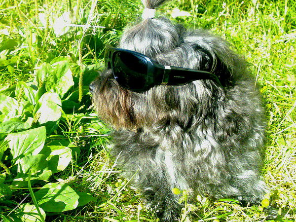 Станислав Юдин