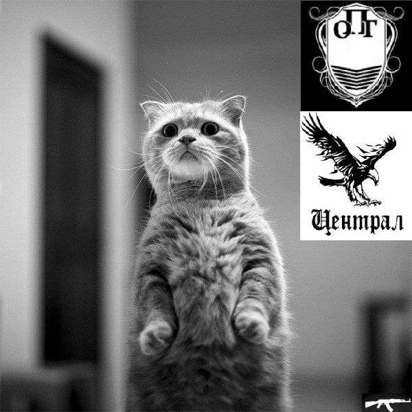 Александр Артурович