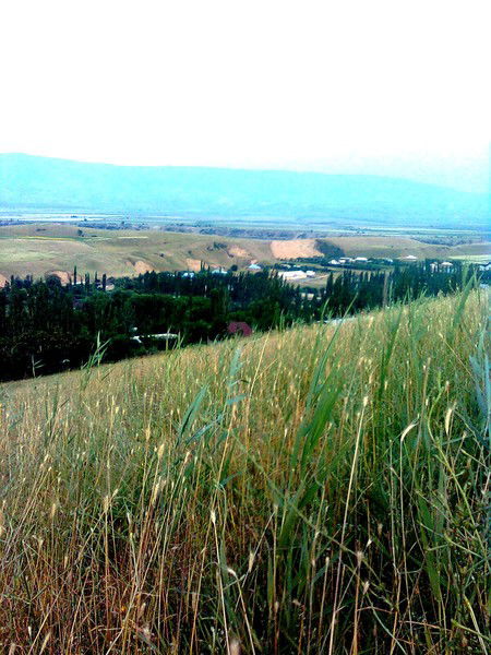 Тологон Асилбеков