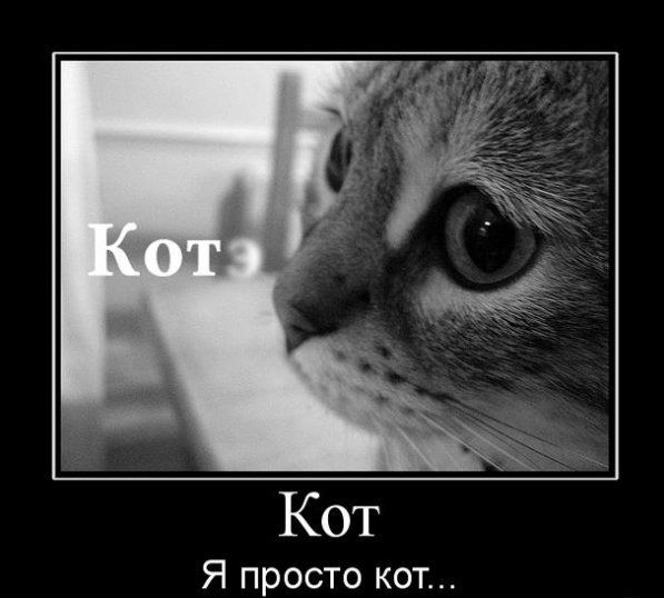 Андрей Прищепа